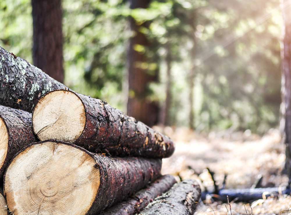 Pronorm sustainable manufacturing